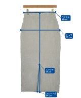 Spick and Span（スピックアンドスパン）ロング・マキシ丈スカート グレー サイズ:38(M位) レディース/2200638685022