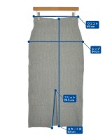 Spick and Span（スピックアンドスパン）ロング・マキシ丈スカート グレー サイズ:38(M位) レディース/2200645388022