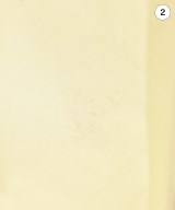 Spick and Span（スピックアンドスパン）カジュアルシャツ 黄 サイズ:F レディース/2200736272117