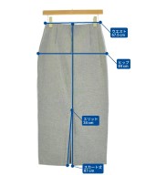 Spick and Span（スピックアンドスパン）ロング・マキシ丈スカート グレー サイズ:36(S位) レディース/2200719802065