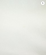 SAINT JAMES（セントジェームス）Tシャツ・カットソー 白 サイズ:42(M位) レディース/2200680372079