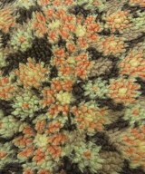 BEAMS BOY（ビームスボーイ）その他 茶 サイズ:F レディース/2200644366014