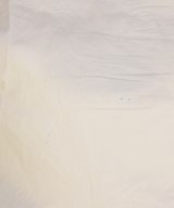 LACOSTE（ラコステ）その他 白 サイズ:38(S位) メンズ/2200684990316