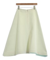 ESTNATION（エストネーション）ロング・マキシ丈スカート 白 サイズ:34(XS位) レディース/2200619244033