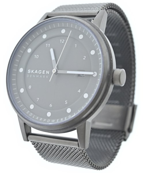 SKAGEN（スカーゲン）腕時計 グレー サイズ:- メンズ/2200669808032
