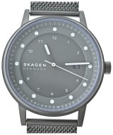SKAGEN（スカーゲン）腕時計 グレー サイズ:- メンズ/2200669808032