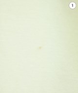 Mila Owen（ミラオーウェン）Tシャツ・カットソー 白 サイズ:1(M位) レディース/2200627670527