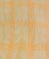 Acne Studios（アクネストゥディオズ）ロング・マキシ丈スカート オレンジ サイズ:36(S位) レディース/2200702580130