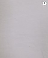 a day in the life UNITED ARROWS（アデイインザライフユナイテッドアローズ）Tシャツ・カットソー グレー サイズ:S レディース/2200669187090