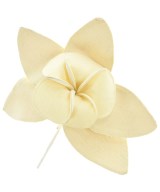 MADISON BLUE ブローチ・コサージュ