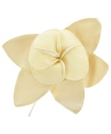 MADISON BLUE（マディソンブルー）ブローチ・コサージュ 黄 サイズ:- レディース/2200631224402