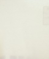 MADISON BLUE（マディソンブルー）Tシャツ・カットソー 白 サイズ:1(S位) レディース/2200710677044