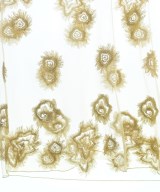 SALON adam et rope（サロンアダムエロペ）ワンピース ベージュ サイズ:F レディース/2200607606058