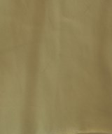 SALON adam et rope（サロンアダムエロペ）ロング・マキシ丈スカート ベージュ サイズ:F レディース/2200688696139