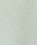 CINOH（チノ）その他 緑 サイズ:36(S位) レディース/2200627260049