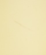 Lisiere（リジエール）スラックス 白 サイズ:36(S位) レディース/2200637304030