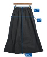 Lisiere（リジエール）ロング・マキシ丈スカート 黒 サイズ:34(XS位) レディース/2200677248011