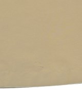 THE RERACS（ザリラクス）ロング・マキシ丈スカート ベージュ サイズ:38(M位) レディース/2200655457046