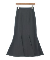 THE SHINZONE（ザシンゾーン）ロング・マキシ丈スカート 黒 サイズ:SO(S位) レディース/2200633309022