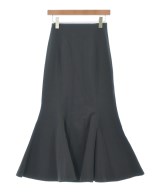 THE SHINZONE（ザシンゾーン）ロング・マキシ丈スカート 黒 サイズ:SO(S位) レディース/2200633309022