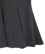 THE SHINZONE（ザシンゾーン）ロング・マキシ丈スカート 黒 サイズ:SO(S位) レディース/2200633309022