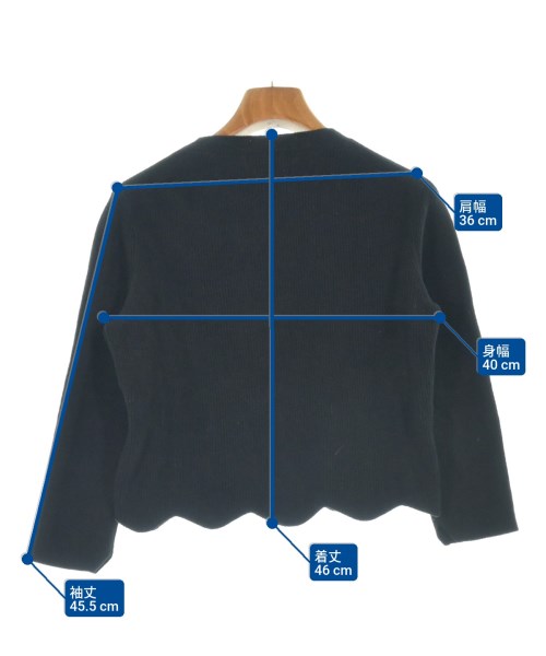 THE SHINZONE（ザシンゾーン）ニット・セーター 黒 サイズ:F レディース/2200636757080