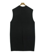 THE SHINZONE（ザシンゾーン）その他 黒 サイズ:F レディース/2200615766010