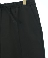 THE SHINZONE（ザシンゾーン）その他 黒 サイズ:M レディース/2200655333012