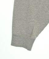 THE SHINZONE（ザシンゾーン）Tシャツ・カットソー グレー サイズ:F メンズ/2200665878022