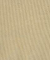 THE SHINZONE（ザシンゾーン）その他 白 サイズ:F レディース/2200732950408