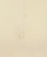 UNUSED（アンユーズド）マウンテンパーカー 白 サイズ:1(S位) メンズ/2200662412069