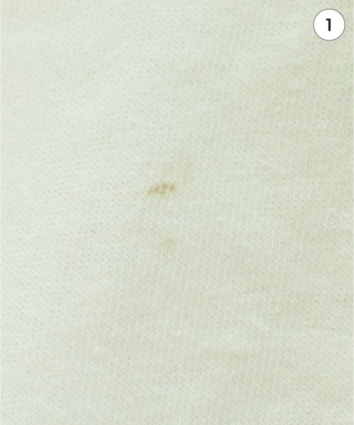 tiny dinosaur（タイニーダイナソー）Tシャツ・カットソー 白 サイズ:44(XL位) レディース/2200646637082