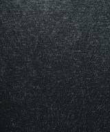 AURALEE（オーラリー）Tシャツ・カットソー 黒 サイズ:1(M位) レディース/2200639434261