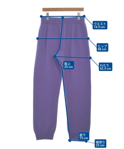 AURALEE（オーラリー）その他 紫 サイズ:4(M位) メンズ/2200627648052