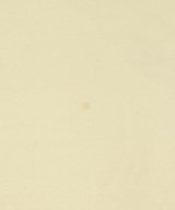 AURALEE（オーラリー）Tシャツ・カットソー 白 サイズ:3(S位) メンズ/2200627148064