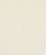 AURALEE（オーラリー）ショルダーバッグ 白 サイズ:- メンズ/2200613593014