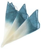 AURALEE（オーラリー）バンダナ・スカーフ 白 サイズ:F レディース/2200631222767