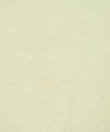 AURALEE（オーラリー）Tシャツ・カットソー 白 サイズ:-(L位) レディース/2200711252462