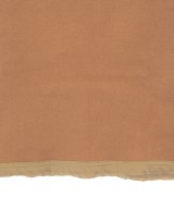AURALEE（オーラリー）タンクトップ オレンジ サイズ:-(M位) レディース/2200724781119