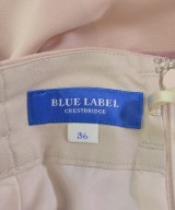 BLUE LABEL CRESTBRIDGE（ブルーレーベルクレストブリッジ）ロング・マキシ丈スカート ピンク サイズ:36(S位) レディース/2200689620027