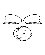 KIJIMA TAKAYUKI（キジマタカユキ）ハンチング・ベレー帽 茶 サイズ:3 メンズ/2200658826061