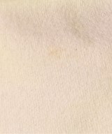 Lui's（ルイス）カジュアルシャツ ベージュ サイズ:F メンズ/2200625313013