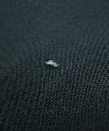 SUNSEA（サンシー）Tシャツ・カットソー 黒 サイズ:2(M位) メンズ/2200466017132