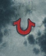 TRUE RELIGION（トゥルーレリジョン）Tシャツ・カットソー 青 サイズ:M メンズ/2200663462025