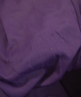 CLANE（クラネ）その他 紫 サイズ:0(XS位) レディース/2200710444028