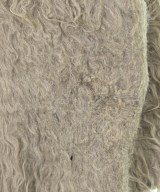 CLANE（クラネ）カーディガン ベージュ サイズ:1(S位) レディース/2200668868013