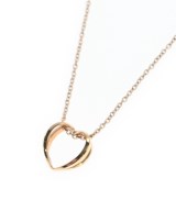 Daniel Wellington ネックレス