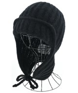 THE INOUE BROTHERS（ザイノウエブラザーズ）ニットキャップ・ビーニー 黒 サイズ:- メンズ/2200651450188