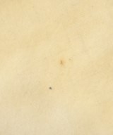 TWEED MILL（ツイードミル）マフラー 白 サイズ:- レディース/2200658511042