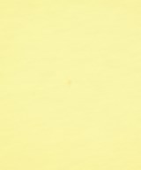 SCOTCH&SODA（スコッチアンドソーダ）Tシャツ・カットソー 黄 サイズ:S レディース/2200647643013